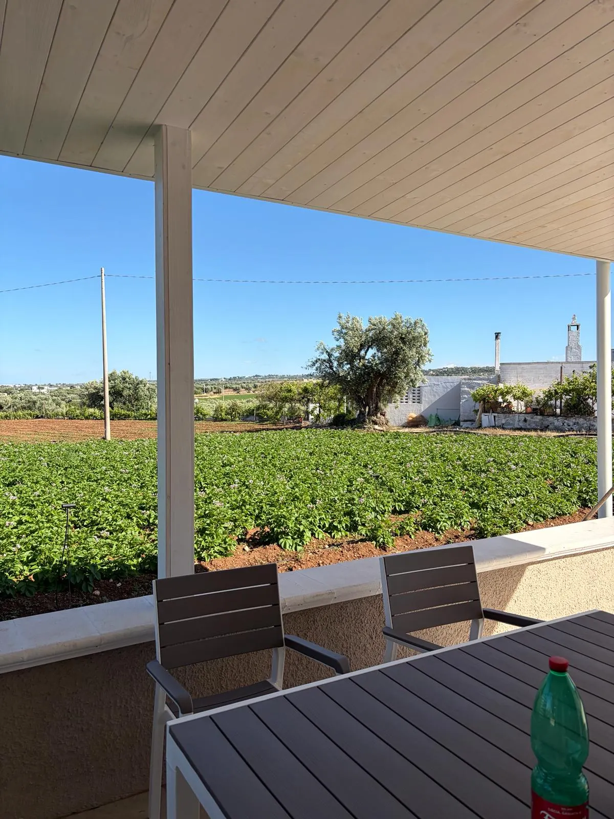 Veranda con vista sui campi pugliesi